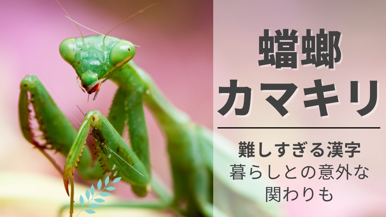 かまきり